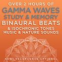 Image of album cover Over 2 Hours of Gamma Waves Study & Memory Binaural Beats & Isochronic Tones Music & Nature Sounds by Binaural Beats Research and David & Steve Gordon