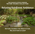 Relaxing Rainforest Ambience - Nature Sounds for Meditation, Relaxation and Sleep, MP3 download.