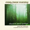 Misty Forest Morning by David and Steve Gordon